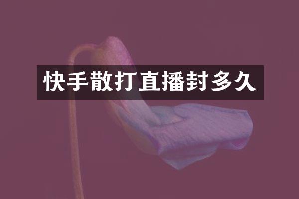 快手散打直播封多久