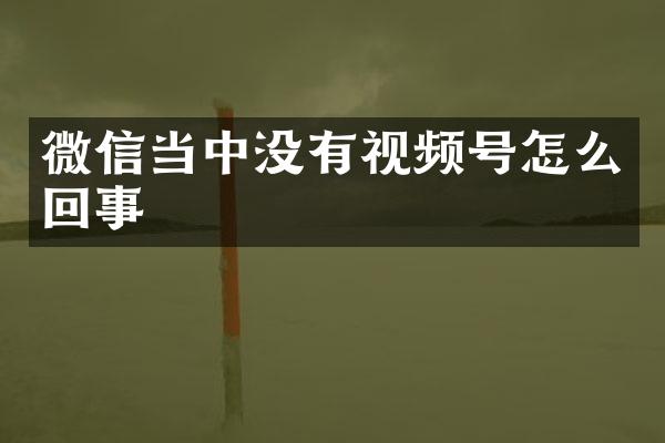 微信当中没有视频号怎么回事