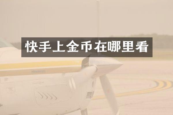 快手上金币在哪里看