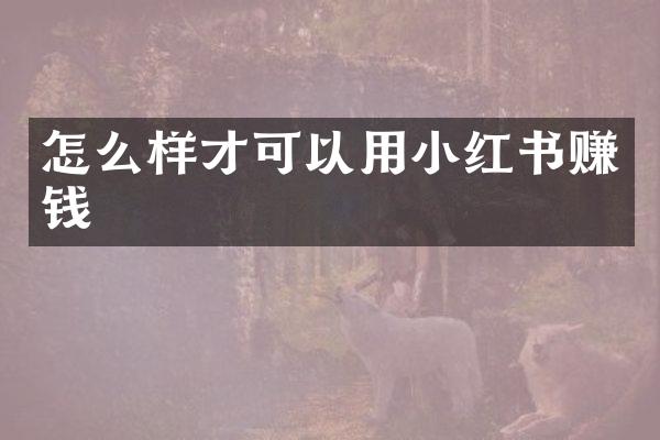 怎么样才可以用小红书赚钱
