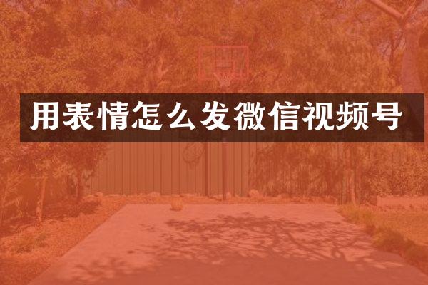 用表情怎么发微信视频号