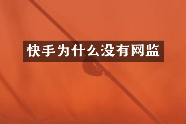 快手为什么没有网监