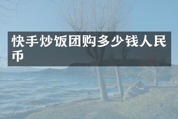 快手炒饭团购多少钱人民币