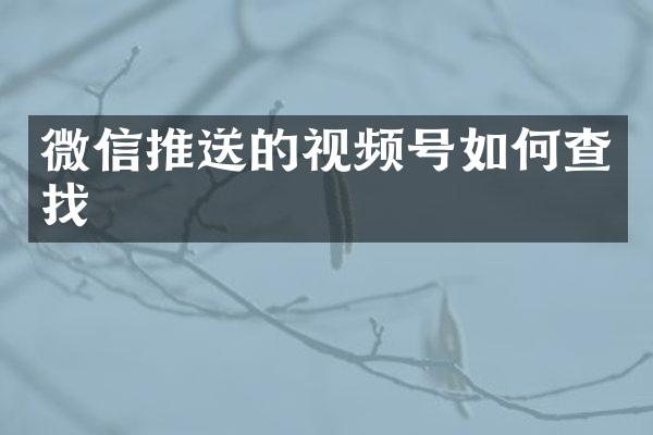 微信推送的视频号如何查找