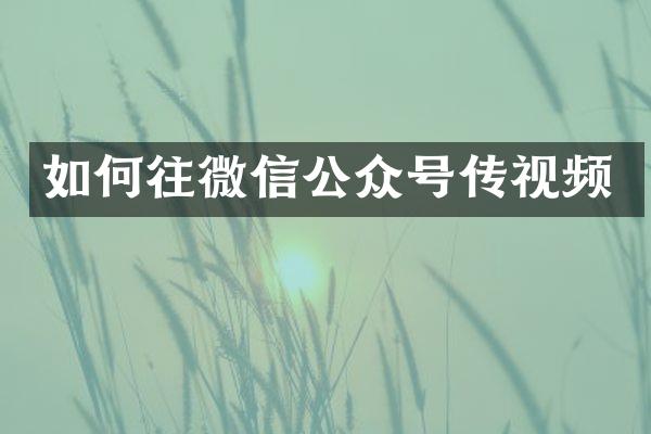 如何往微信公众号传视频
