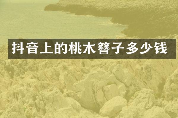 抖音上的桃木簪子多少钱