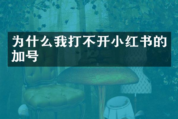 为什么我打不开小红书的加号