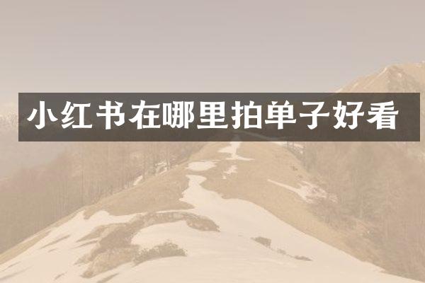 小红书在哪里拍单子好看