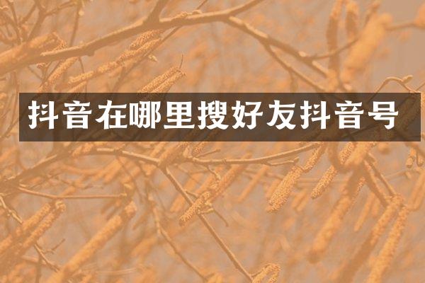 抖音在哪里搜好友抖音号