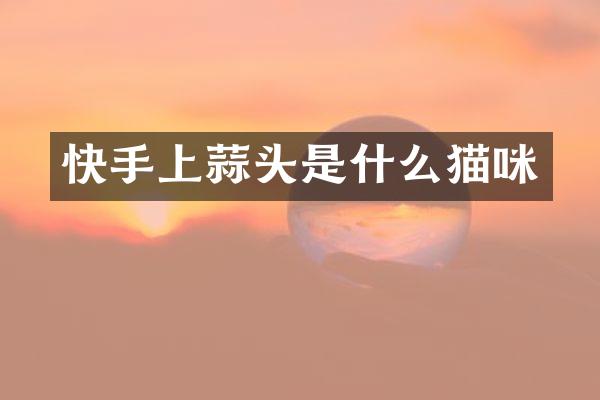 快手上蒜头是什么猫咪