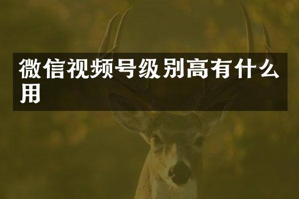 微信视频号级别高有什么用