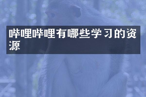 哔哩哔哩有哪些学习的资源