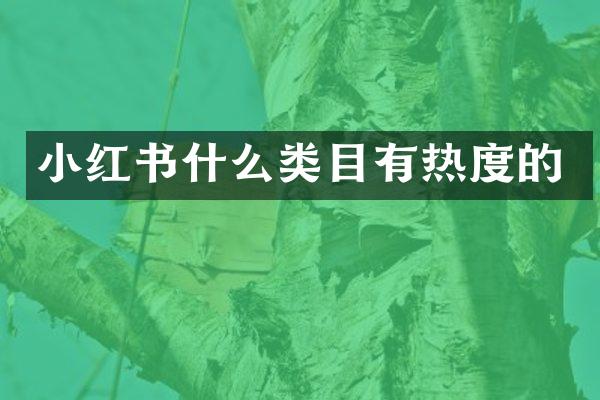 小红书什么类目有热度的