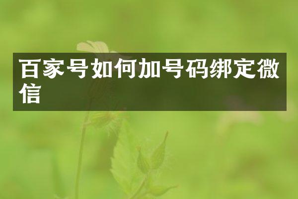 百家号如何加号码绑定微信