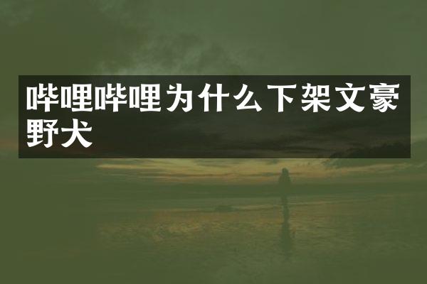 哔哩哔哩为什么下架文豪野犬