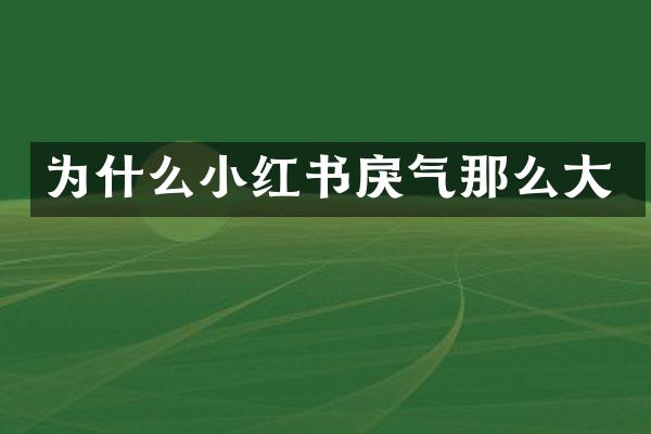 为什么小红书戾气那么大