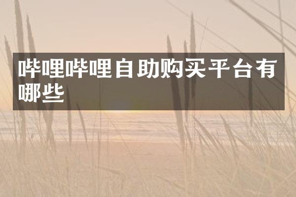 哔哩哔哩自助购买平台有哪些