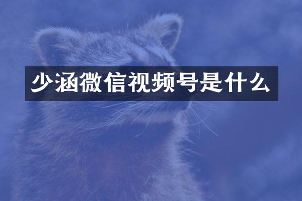 少涵微信视频号是什么
