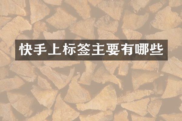 快手上标签主要有哪些