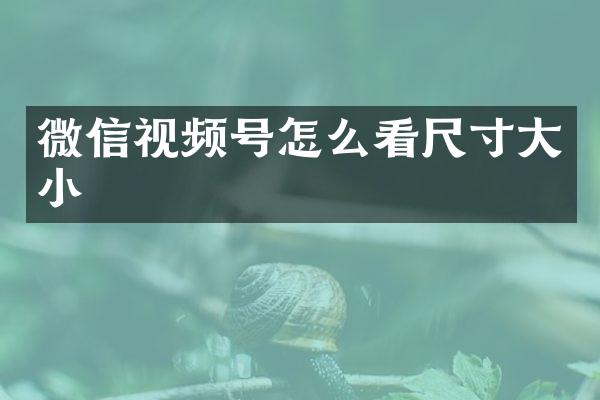 微信视频号怎么看尺寸大小