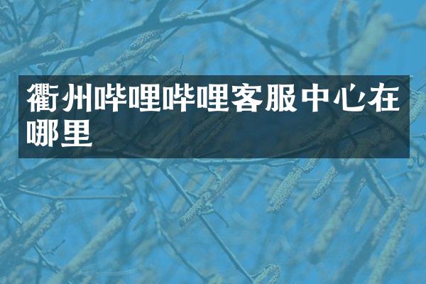 衢州哔哩哔哩客服中心在哪里