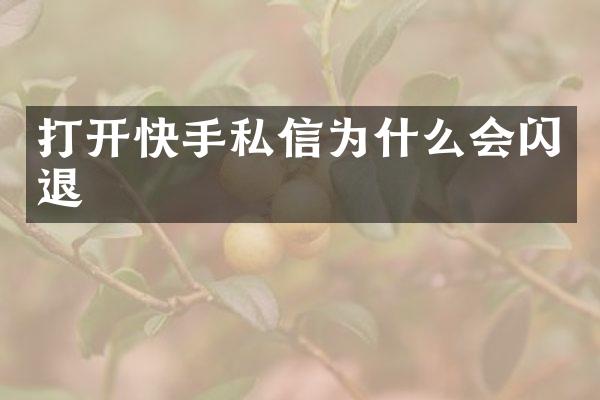 打开快手私信为什么会闪退