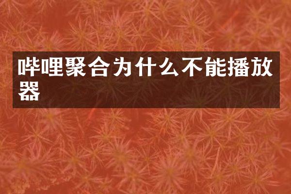 哔哩聚合为什么不能播放器