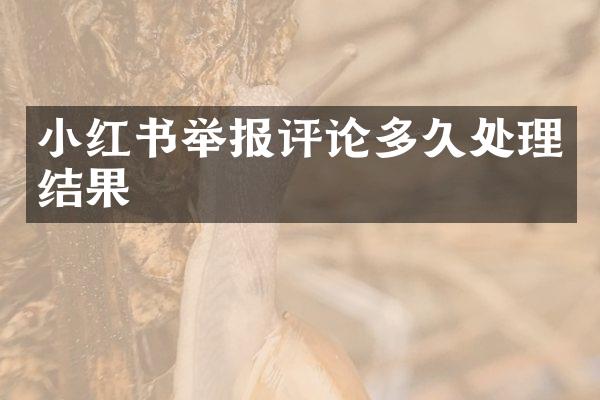 小红书举报评论多久处理结果