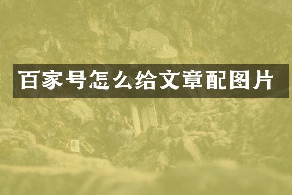 百家号怎么给文章配图片