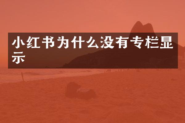 小红书为什么没有专栏显示