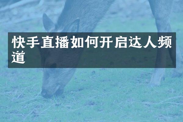 快手直播如何开启达人频道