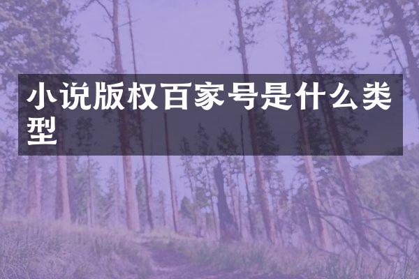 小说版权百家号是什么类型