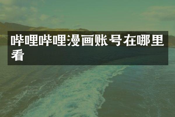 哔哩哔哩漫画账号在哪里看