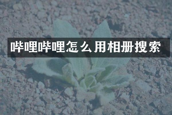 哔哩哔哩怎么用相册搜索