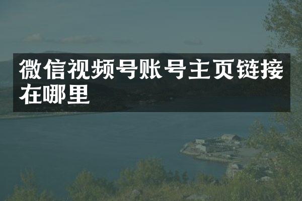 微信视频号账号主页链接在哪里