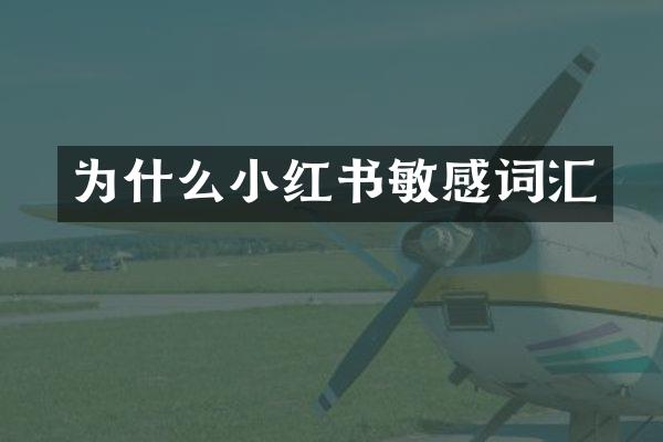 为什么小红书敏感词汇