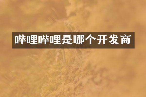 哔哩哔哩是哪个开发商