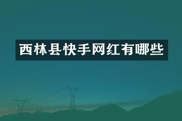 西林县快手网红有哪些