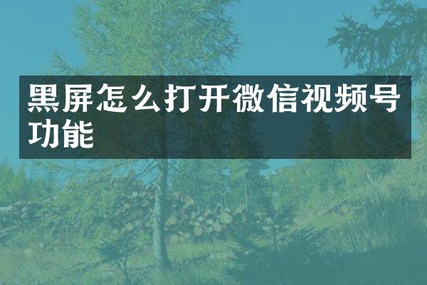 黑屏怎么打开微信视频号功能