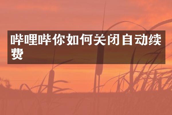 哔哩哔你如何关闭自动续费