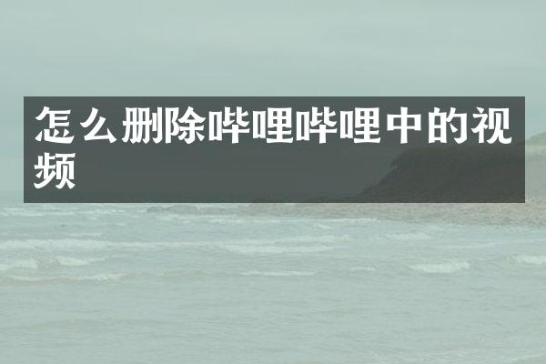 怎么删除哔哩哔哩中的视频