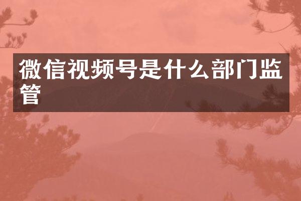 微信视频号是什么部门监管