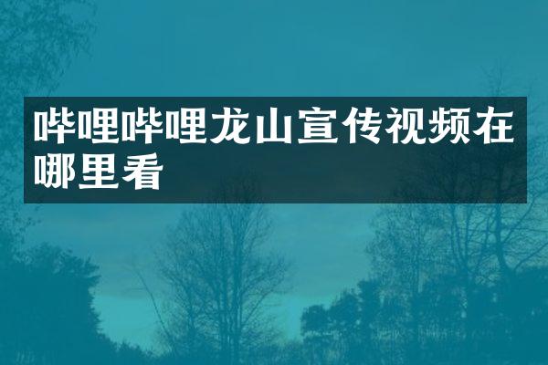 哔哩哔哩龙山宣传视频在哪里看
