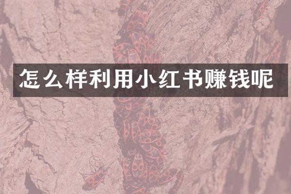 怎么样利用小红书赚钱呢