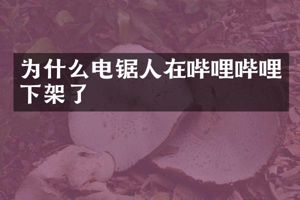 为什么电锯人在哔哩哔哩下架了