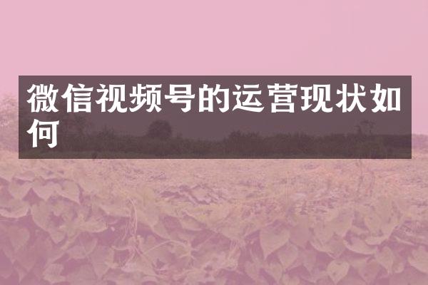 微信视频号的运营现状如何