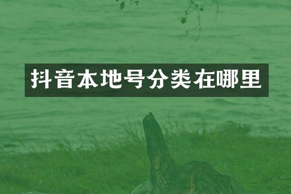 抖音本地号分类在哪里