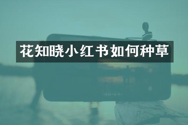 花知晓小红书如何种草