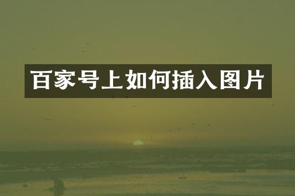 百家号上如何插入图片