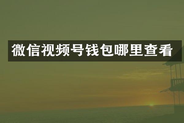 微信视频号钱包哪里查看